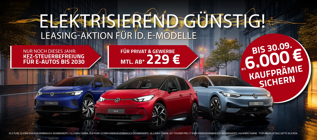ID Offensive bei Holst