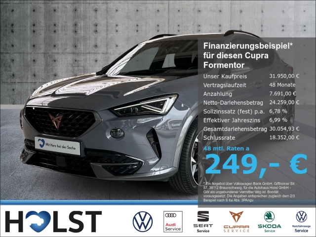 Formentor CUPRA 1.5TSI DSG Navi Kamera AHK 19