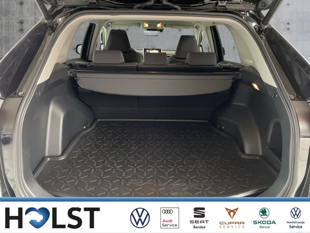RAV 4 2.5 VTI Hybrid 4x4 Team Deutschland