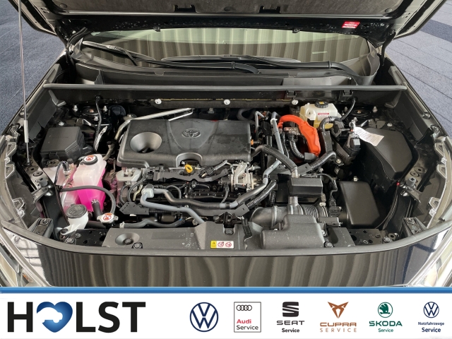 RAV 4 2.5 VTI Hybrid 4x4 Team Deutschland