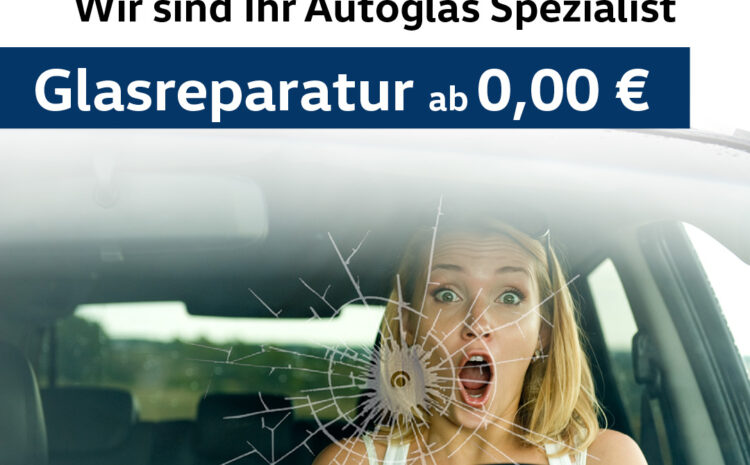 Steinschlag Service