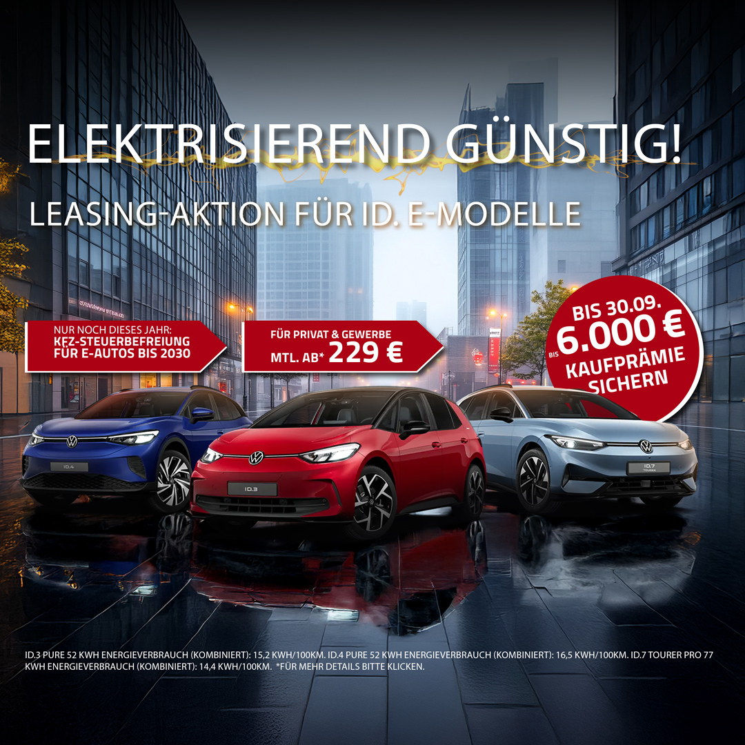 ID Offensive bei Holst