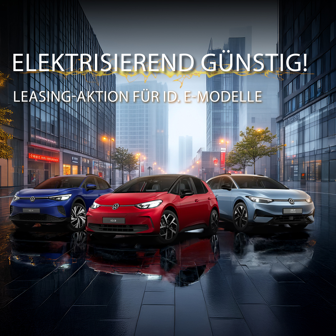ID Offensive bei Holst