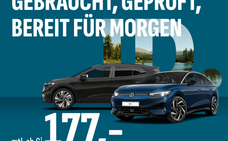 Junge gebrauchte ID.s