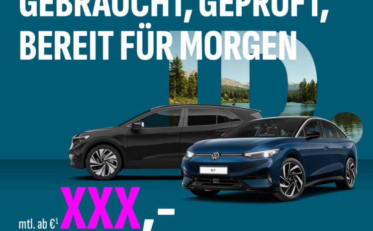  Junge gebrauchte ID.s